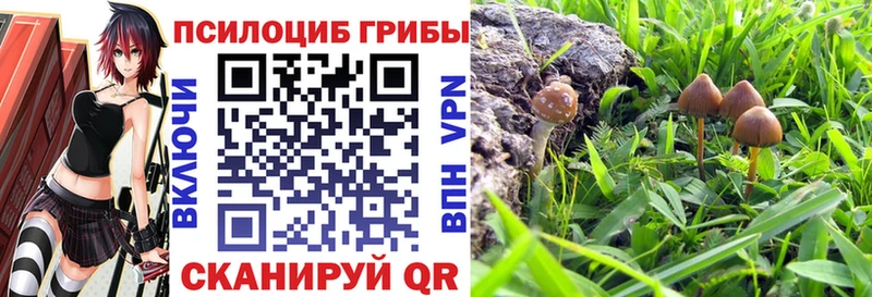 Галлюциногенные грибы мухоморы  Купить закладки  Новошахтинск